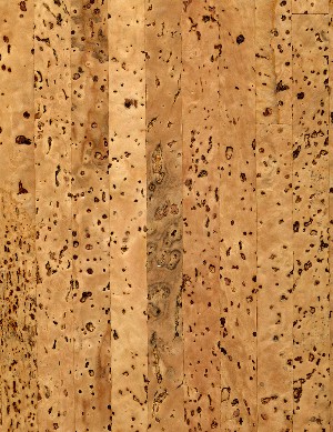 Cork flooring texture