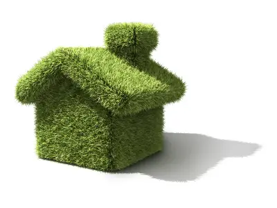 Eco friendly house made of grass